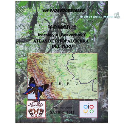 Butterflies of Peruvian Selva – First Edition Hardcover Scientific Catalog